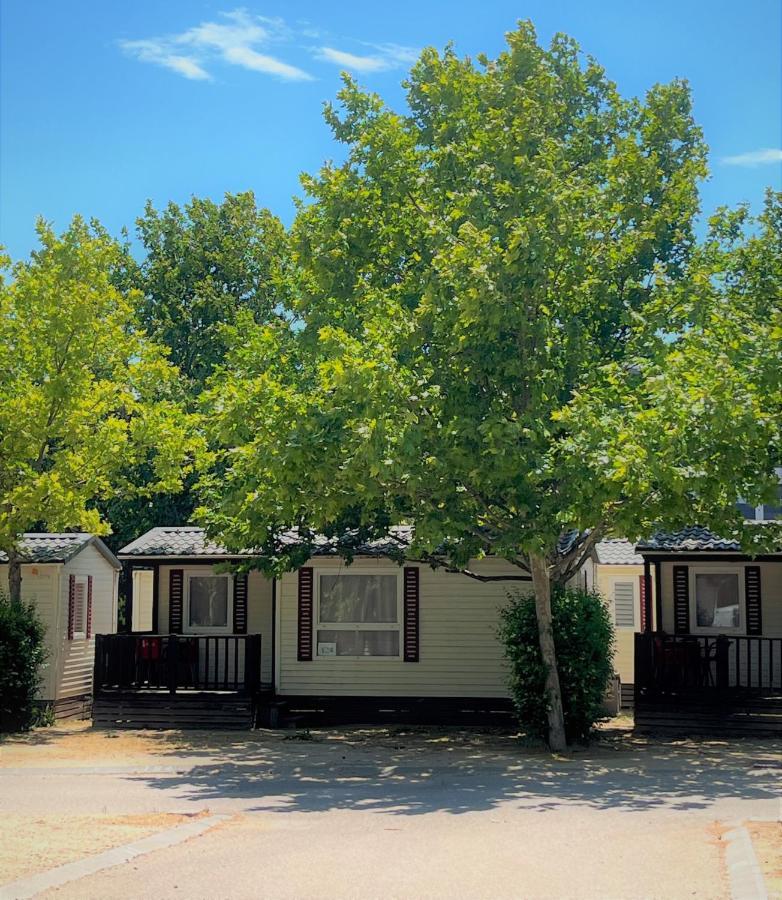 Bungalows Zaragoza Camping المظهر الخارجي الصورة