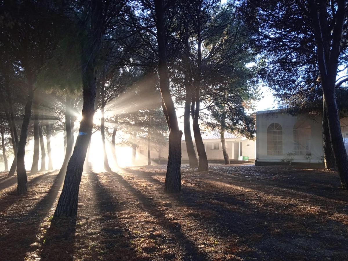 Bungalows Zaragoza Camping المظهر الخارجي الصورة